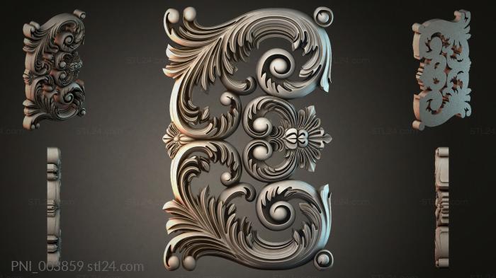 PNI_003859