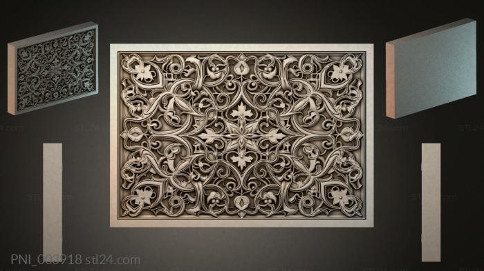 PNI_003918