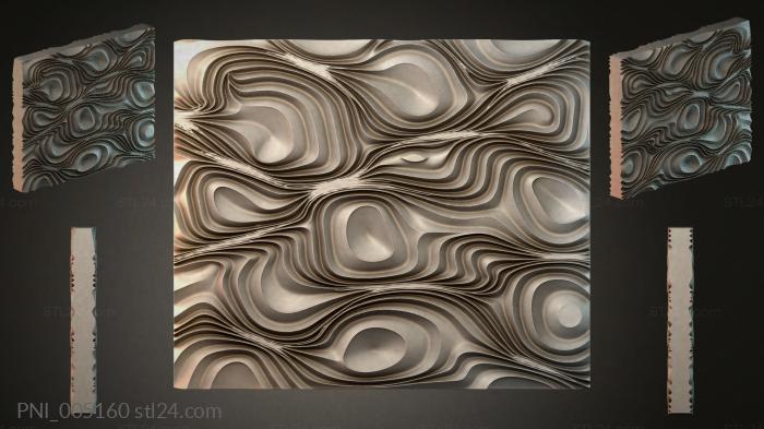PNI_005160