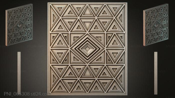 PNI_005308