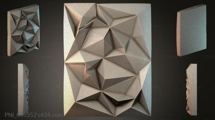 PNI_005352