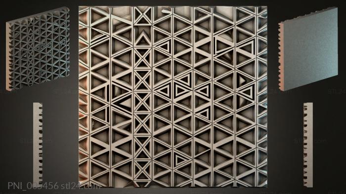 PNI_005456