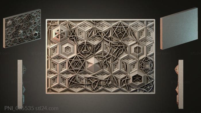 PNI_005535