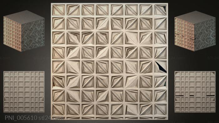 PNI_005610