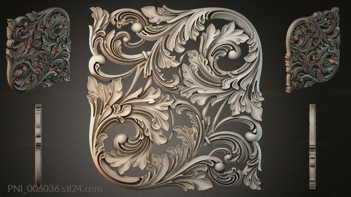 PNI_006036