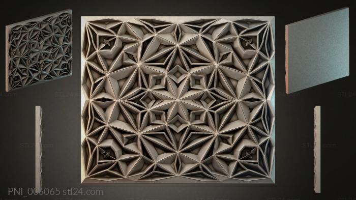 PNI_006065