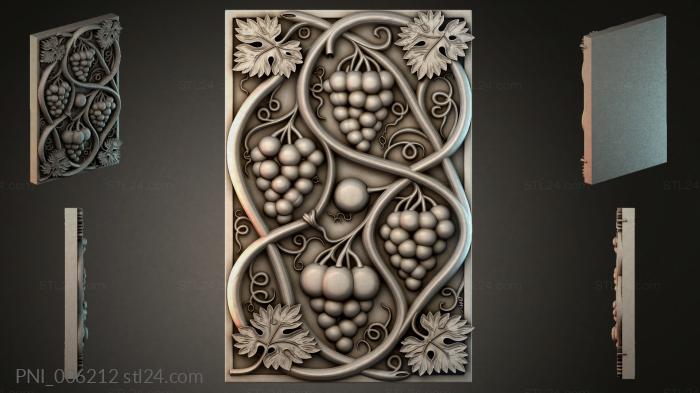 PNI_006212