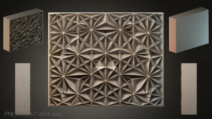 PNI_006267