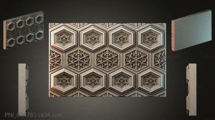 PNI_006785