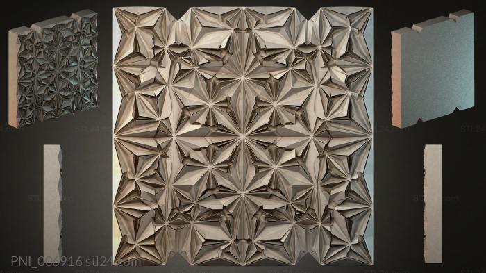 PNI_006916