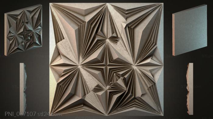 PNI_007107