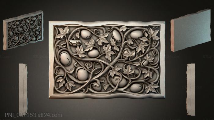 PNI_007153