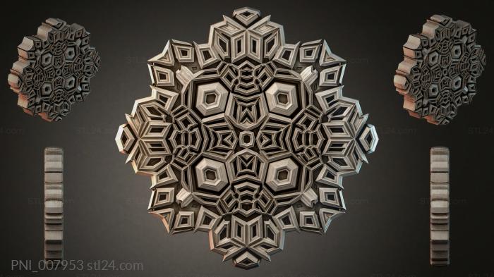 PNI_007953