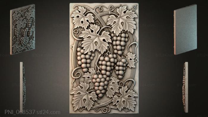 PNI_008537