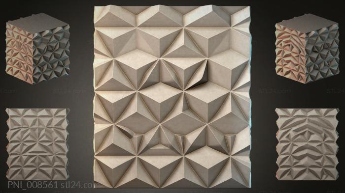 PNI_008561