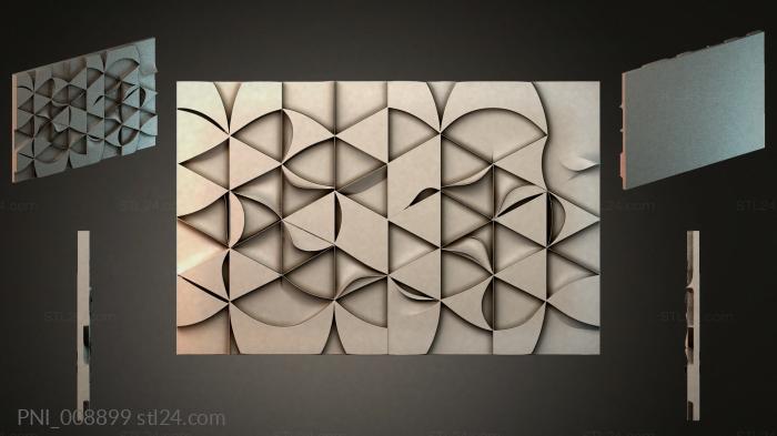 PNI_008899
