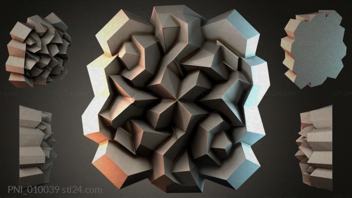 PNI_010039