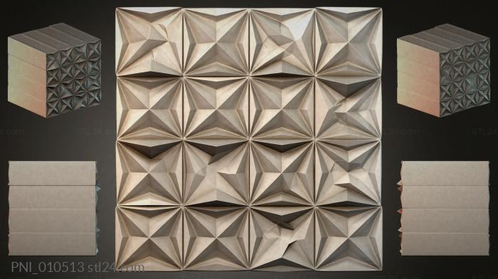 PNI_010513