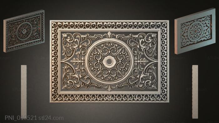 PNI_010521