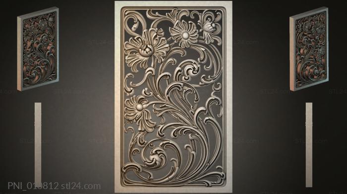 PNI_010812