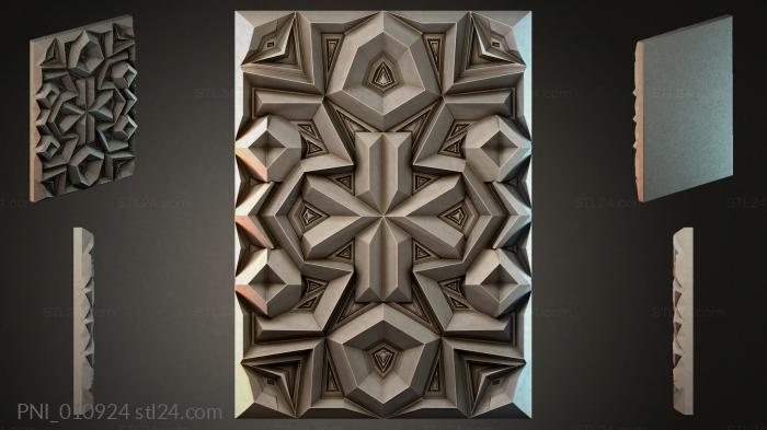 PNI_010924