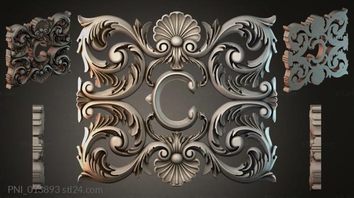 PNI_013893