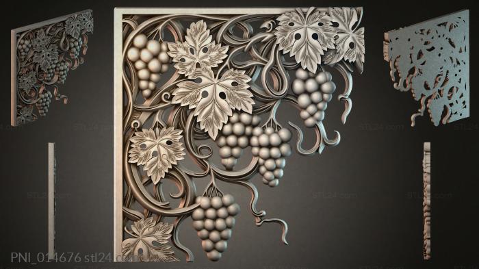 PNI_014676