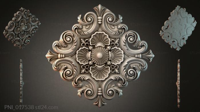PNI_017538