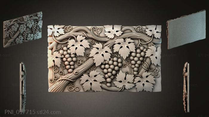 PNI_017715