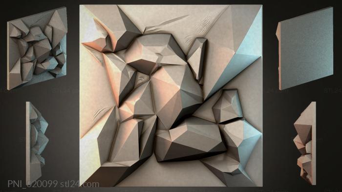 PNI_020099