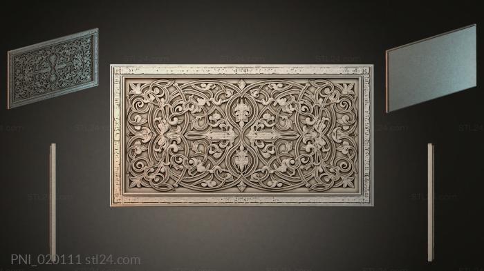 PNI_020111