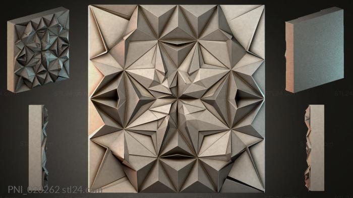 PNI_020262