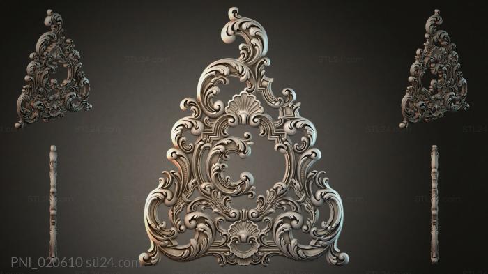 PNI_020610