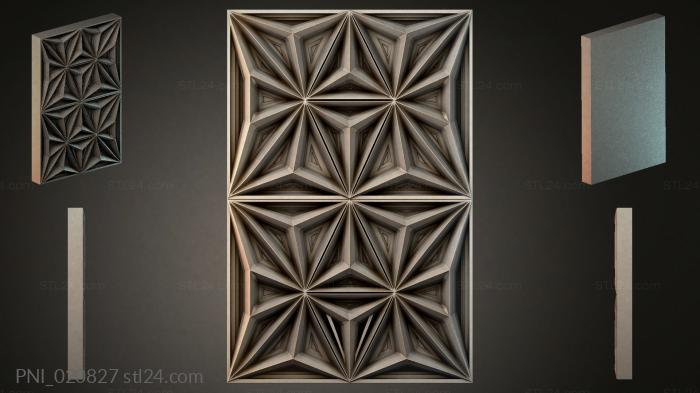 PNI_020827