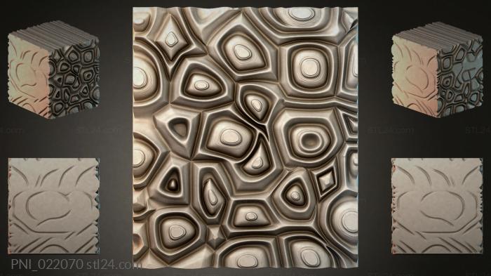 PNI_022070