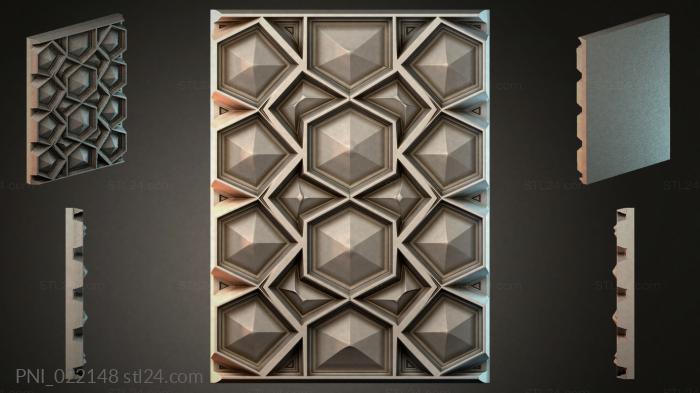 PNI_022148