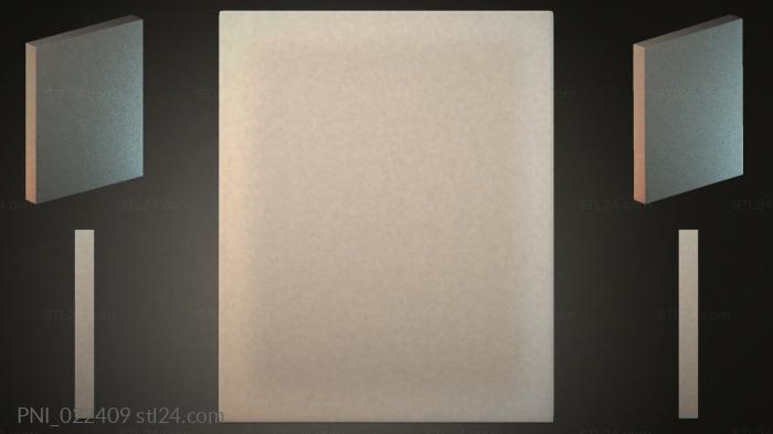 PNI_022409