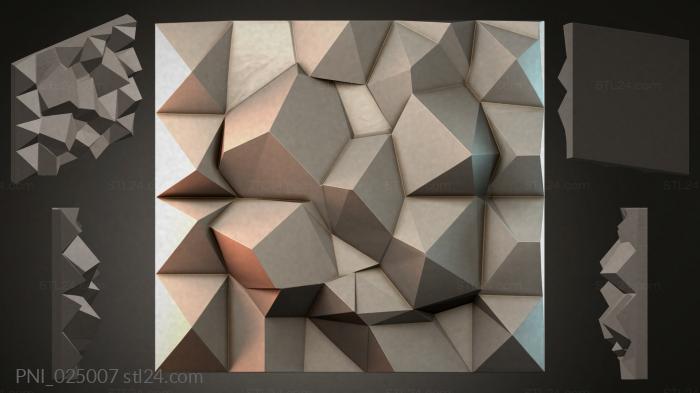 PNI_025007
