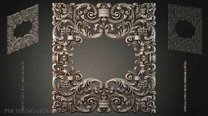 PNI_025345