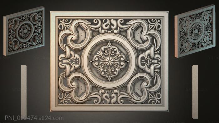 PNI_026474