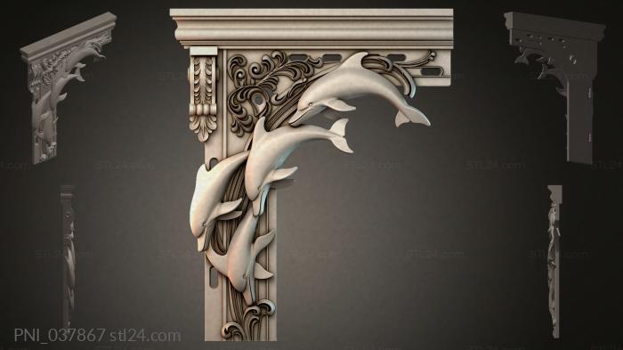 PNI_037867 3d STL model