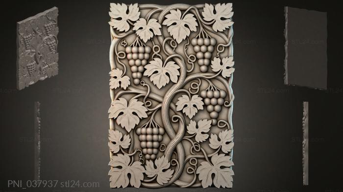 PNI_037937 3d STL model