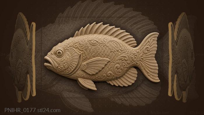 Swimming fish with watchful eye 3d STL model