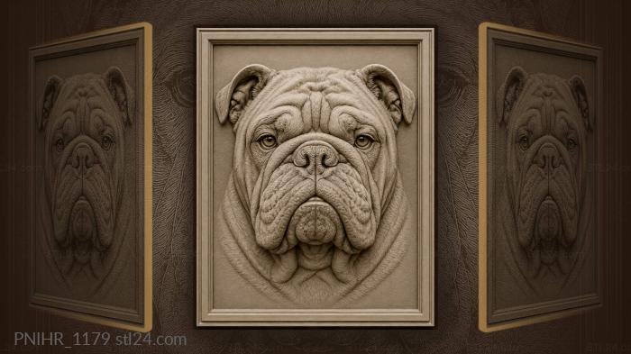 Bulldog head majestic portrait detail 3d STL model