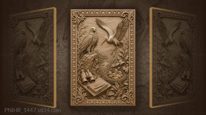 Eagle stork birds nature study 3d STL model