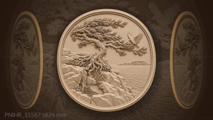 Pine gripping a cleft above the sea 3d STL model