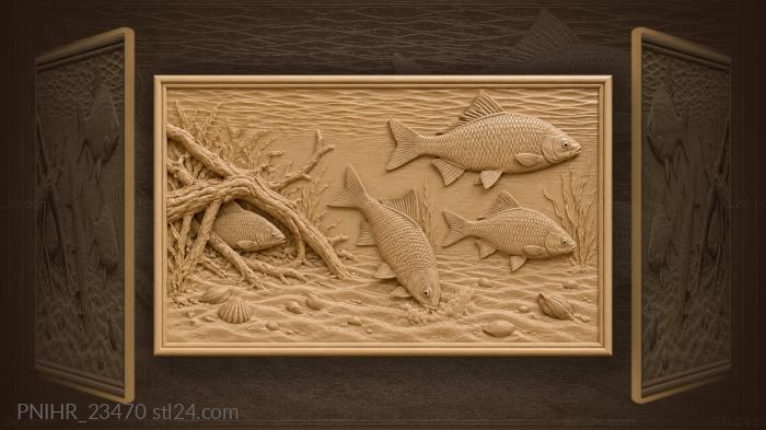 Rudd swimming in clear shallows 3d STL model