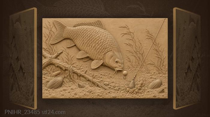 Carp feeding on river bottom 3d STL model
