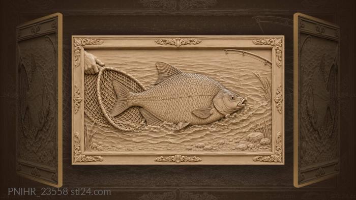 Bream caught in shallow water 3d STL model