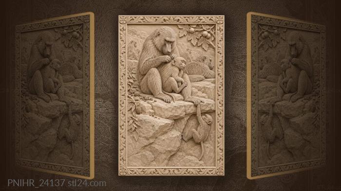 Baboon grooms her infant on ledge 3d STL model